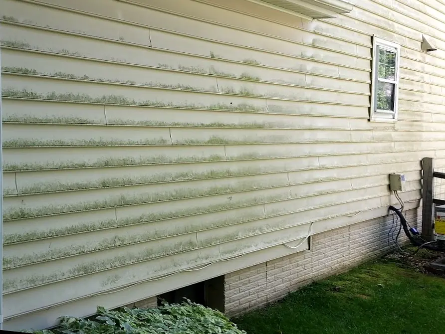Before: Vinyl siding streaked with green algae along every lap, beside a downspout and AC unit